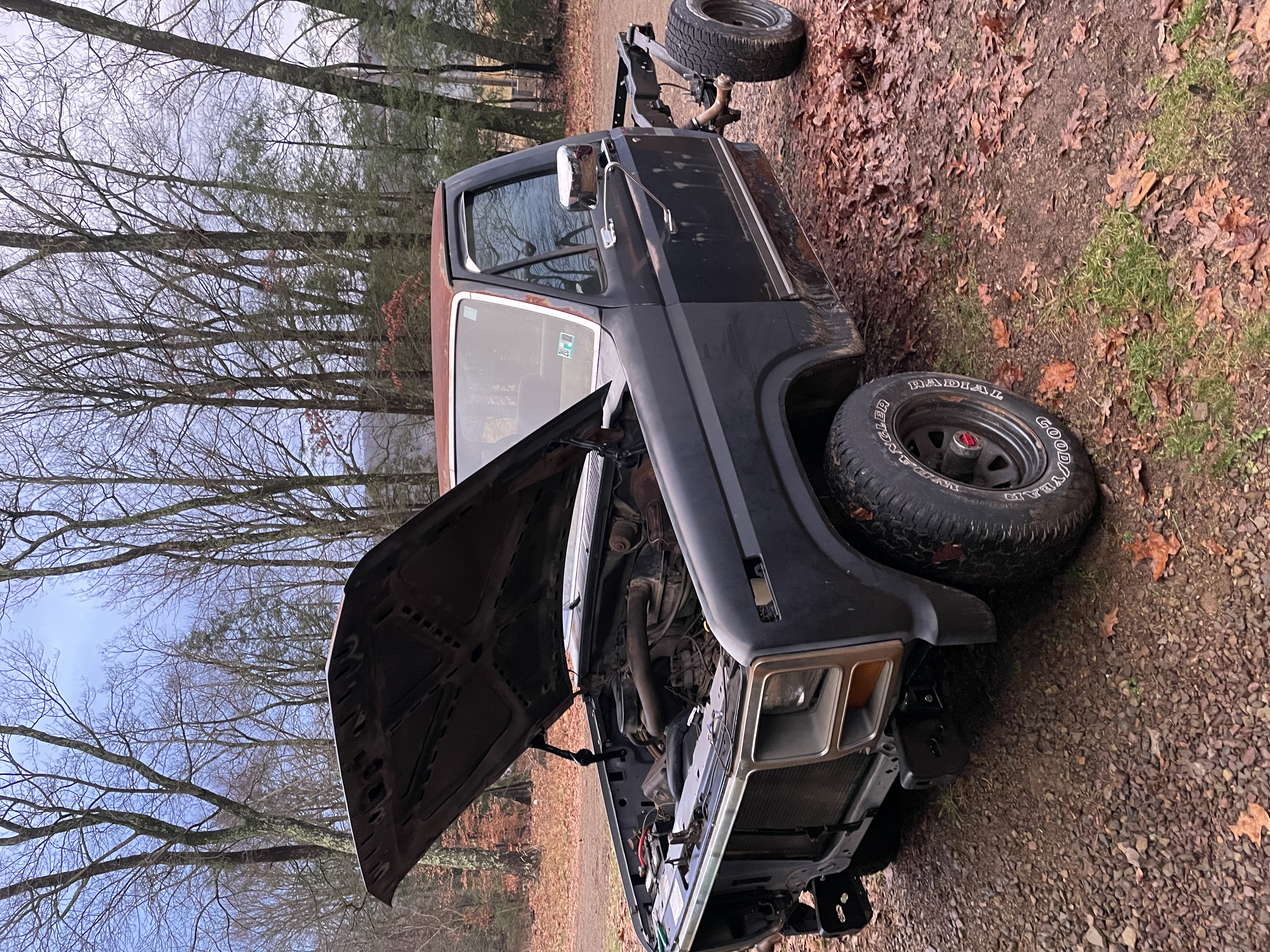 I got new front fenders, patched and repainted the radiator support, replaced the water pump, horns, fabricated a new batter tray, and replaced coolant hoses