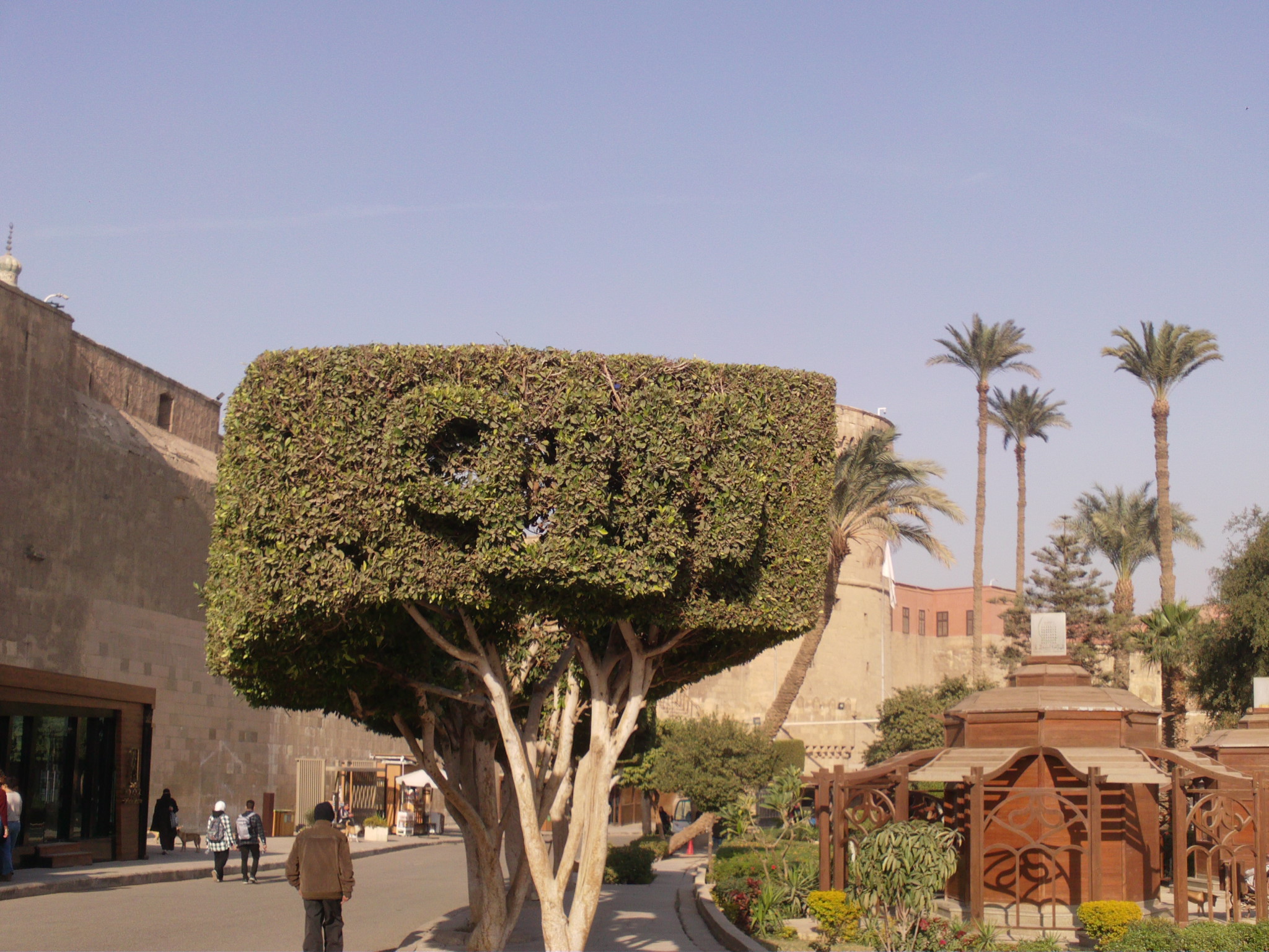 Egypt