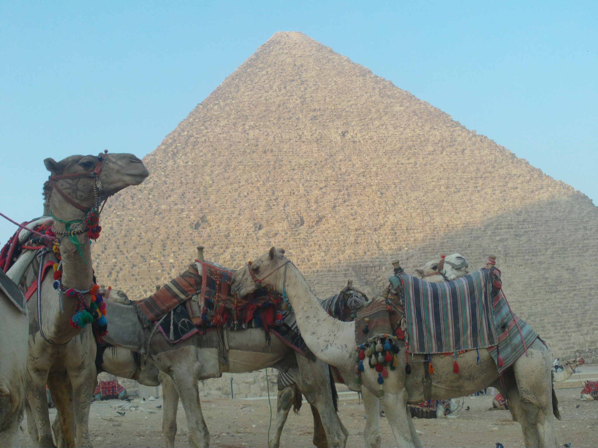 Egypt