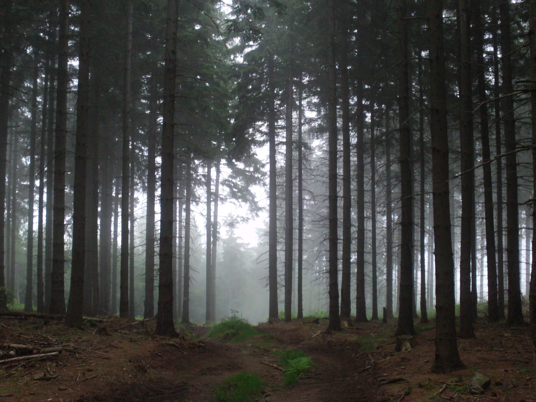 Poland